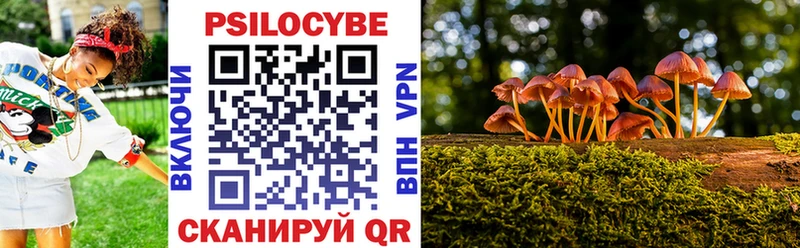 blacksprut как зайти  купить   Урюпинск  Галлюциногенные грибы Psilocybe 